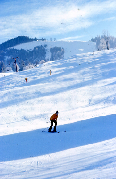 Beschreibung: Macintosh HD:Users:golfbear:Desktop:Graf-Online:Material:Sport_Pics:IMG_5354.JPG